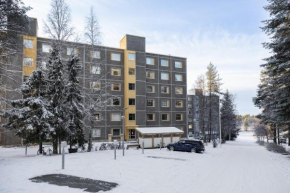 Matka Mystical Lapland Home, Rovaniemi